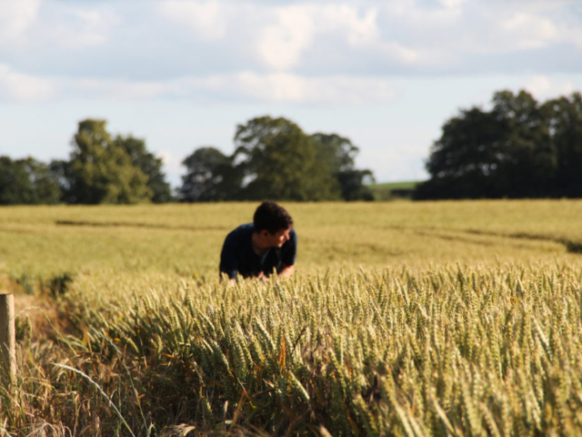 Making Work Rob Field